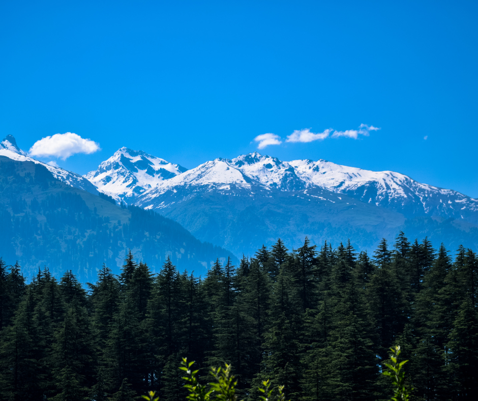 Magical Manali Volvo Package
